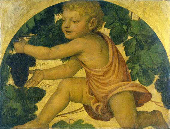 putto picking grapes